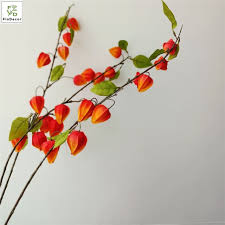 Attēlu rezultāti vaicājumam “Enkianthus chinensis”