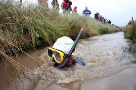 Image result for Bog Snorkelling Championships