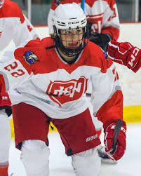 Image result for Norwich Dragons Hockey Club