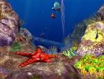 3D Ocean Fish ScreenSaver   A new screensaver plunges your