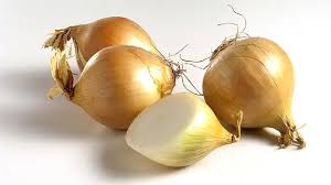 Image result for Zwiebeln