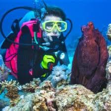 Image result for Droylsden Sub Aqua Club