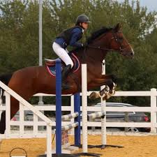 Image result for Beechwood Riding School