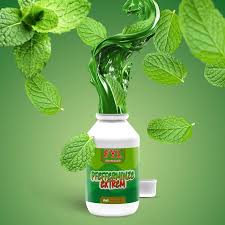 Image result for Pfefferminze