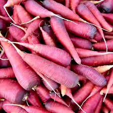 Attēlu rezultāti vaicājumam “Daucus carota subsp. carota fruit”