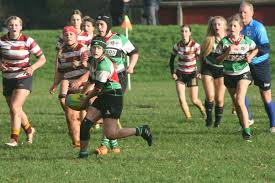 Image result for Wharfedale Rugby Union Football Club