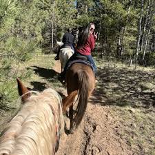 Image result for Old Park Riding Stables