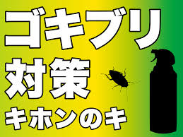 Image result for ゴキブリ報告所