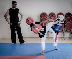 Image result for Moo Sool Academy