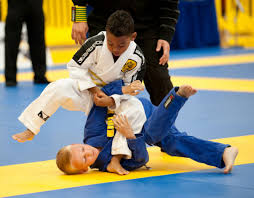 Image result for AAZENTAI JU JITSU