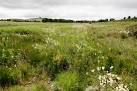 Marshland, south- west of - via Daymix