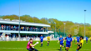 Image result for Westfields Football Club Ltd