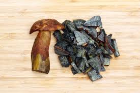 Attēlu rezultāti vaicājumam “Sutorius luridiformis”