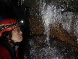 Image result for Technical Speleological Group