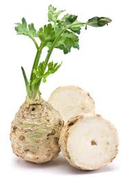 Image result for Sellerie