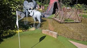 Image result for Leatherhead & Cobham Cc