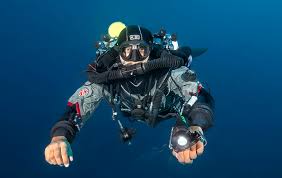 Image result for Le Clique Divers