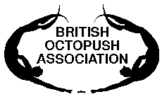 Image result for Totton Octopush Club