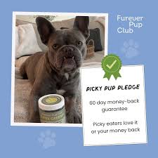 Image result for bulldog bowls club