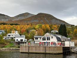 Image result for British Norwegian Ski Club