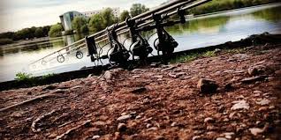 Image result for Lamb Angling Club