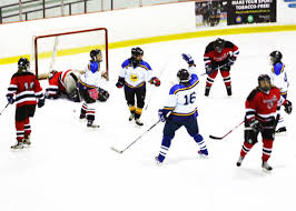 Image result for Swansea Ladies Hockey Club