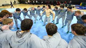 Image result for Hemsworth Odyssey Gymnastics Squad