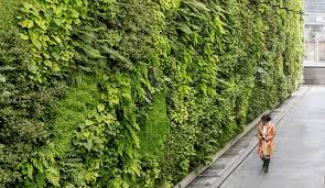 Image result for living wall