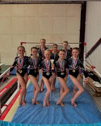 Image result for Thornton Sport Gymnastics