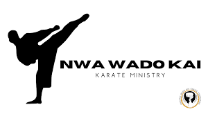 Image result for Karate Wado Kai