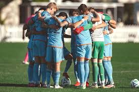 Image result for Newdigate F C