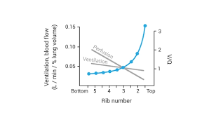 Image result for  v    q