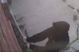 Image result for Willesborough Cricket Club