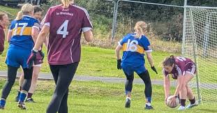 Image result for Carryduff Gaelic Athletic Club