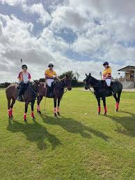 Image result for York University Canoepolo Club