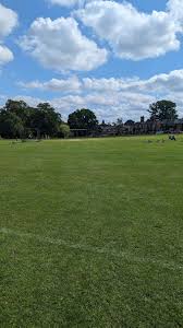 Image result for Hartley Wintney Cc