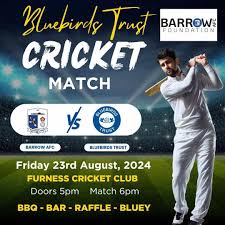 Image result for Furness Cricket Club