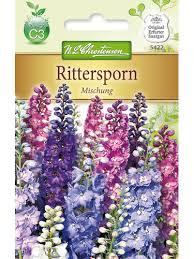 Image result for Rittersporn