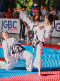 Image result for Utf Jaguar Tkd
