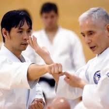 Image result for Haslemere Karate Club