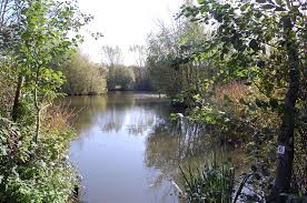 Image result for Orpington District Angling Association