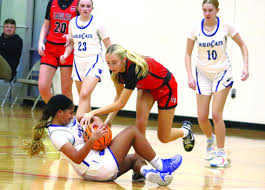 Image result for Elmbridge Girls Basketball Club