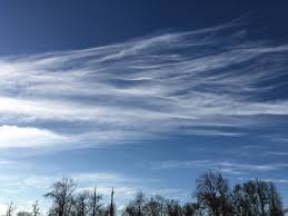 Attēlu rezultāti vaicājumam “Cirrus fibratus”