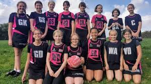 Image result for Comets Netball Club