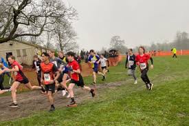 Image result for Chapel Tri-Stars Junior Tri Club