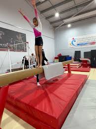 Image result for Hinckley Gymnastics Club