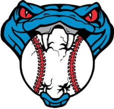 Image result for Cobra Badminton Club