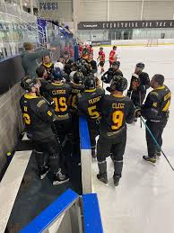 Image result for Sheffield Blazers