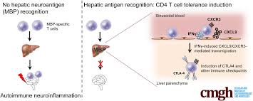 Image result for Calne Alpha 4