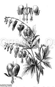 Image result for tränendes Herz